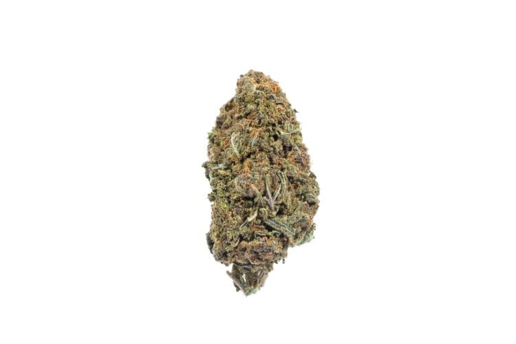 Alaskan Thunder Fuck