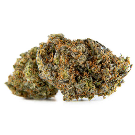 Mendo Breath The Lodge Cananbis