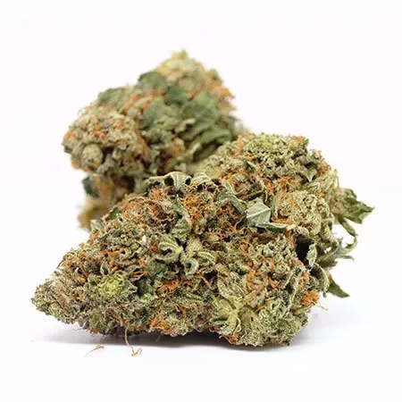 Irish Cream Strain Marijuana Strain Review 450x450.jpg