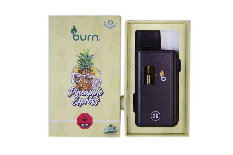 Burn Disposable Pen 2g - Pineapple Express