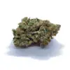 Bubba Kings - Bubba God