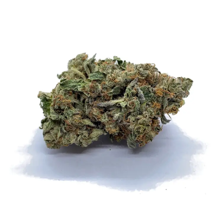 Bubba Kings - Bubba God