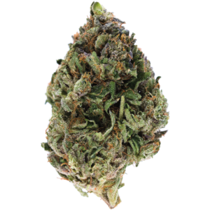 Cincopax Death Pink