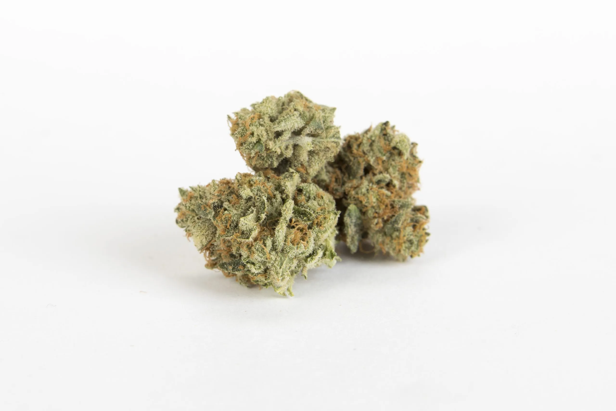 Frosted Flakes 1 Ericwilliams Therollingpaper Boyscoutcookies 1 Scaled.jpg