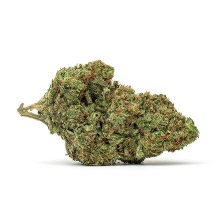 Liliac Diesel Full Res 2