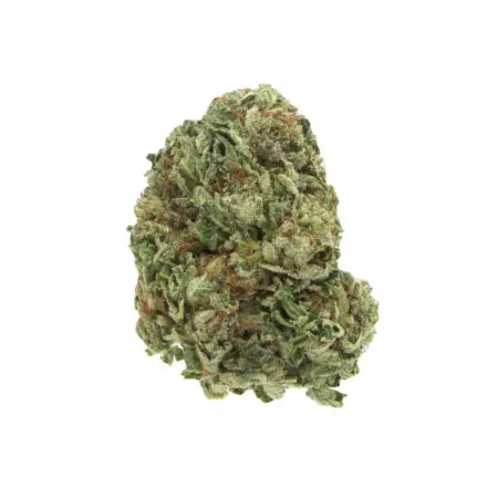 Purple Afghan Kush