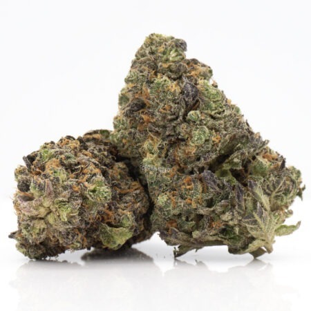 Toronto Cannabis Gas Mask