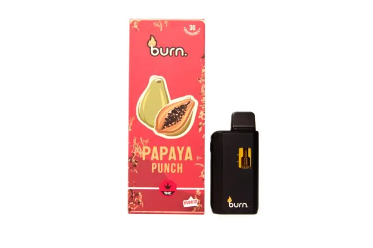 Burn Disposable Pen 3g - Papaya Punch