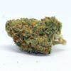 White Guava