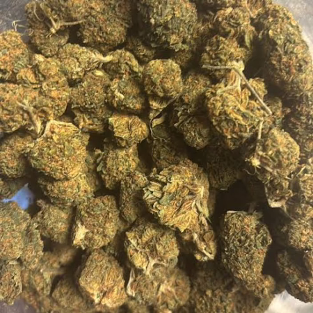 Chocolope