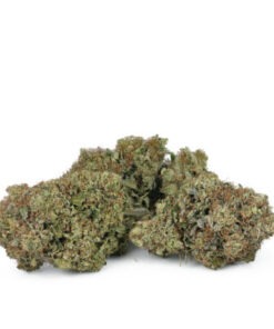 Pink Gas Mask Strain 2 400x400 1