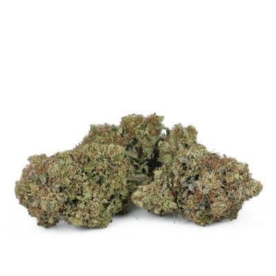 Gas Mask 1 Pink Gas Mask Strain 2 400x400 1