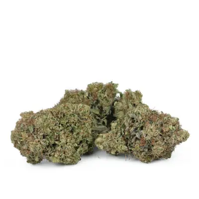 Pink Gas Mask Strain 2 400x400 1