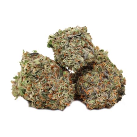Buy Purple Afghan Strain