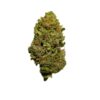 Northern Lights