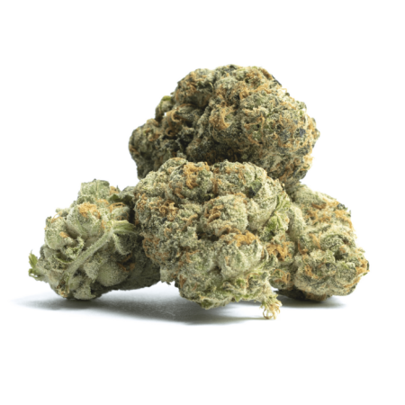 Mango Dream
