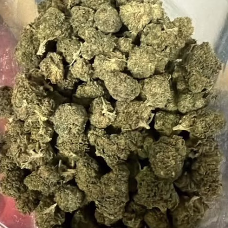 A close-up view of Super Lemon Haze cannabis buds, showcasing their vibrant green color and dense structure.
