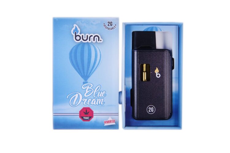 Burn Disposable Pen 2g - Blue Dream