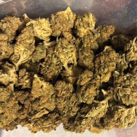 Forbidden Fruit