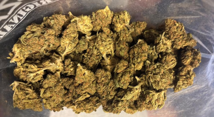 Forbidden Fruit