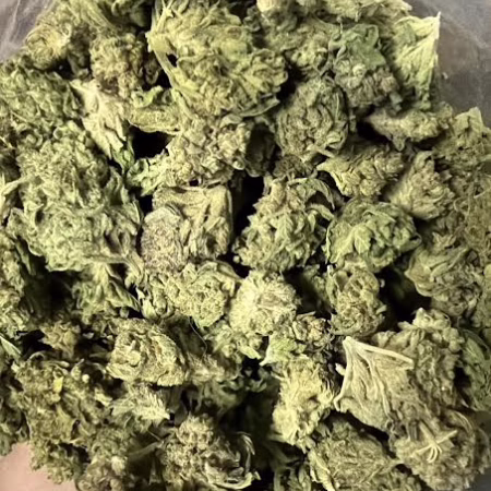 Premium Blue Cheese cannabis strain featuring dense, aromatic buds with a rich green hue, ideal for relaxation and enjoyment.