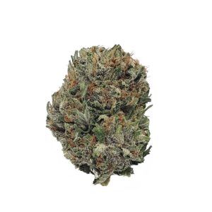 Purple Hindu Kush Indica Weed Strain 1200