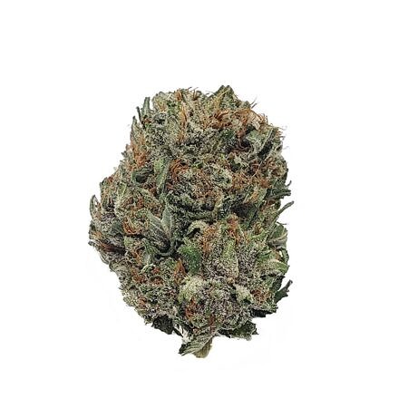 Purple Hindu Kush Indica Weed Strain 1200