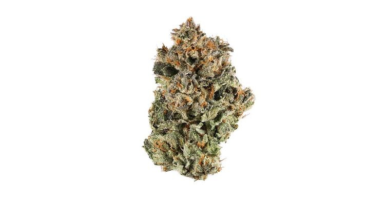 Dark Star