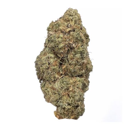 Purple Goo
