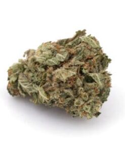 MK Ultra