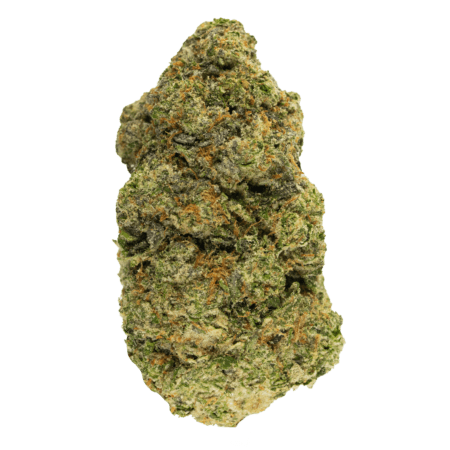 Holy Gelato Strain WEB