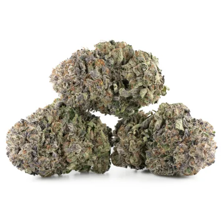 Purple Punch