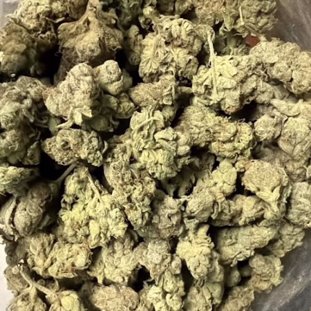 Close-up of high-quality Master Kush buds neatly arranged.
