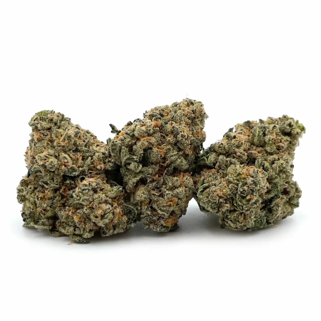 Girl Scout Cookies Strain Review: AlphaBuds' Candy-Sweet Cut 1 Girl Scout Cookies 2 1 Scaled.jpg