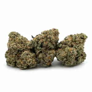 Girl Scout Cookies 2 1 Scaled.jpg