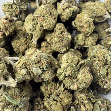 Premium Master Kush cannabis buds, meticulously cultivated and harvested, showcasing their dense structure and rich trichome coverage for discerning connoisseurs.
