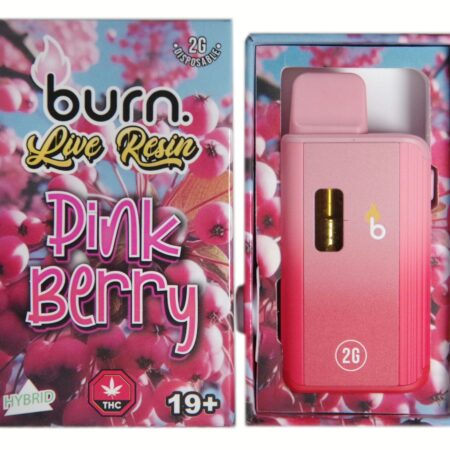 Burn Disposable Pen 2g (Live Resin) – Pink Berry