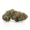 Master Kush 2