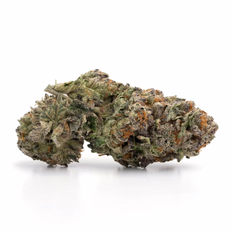 MK Ultra