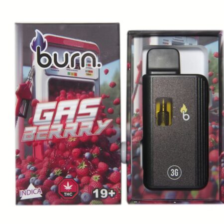 Burn Disposable Pen 3g – Gas Berry