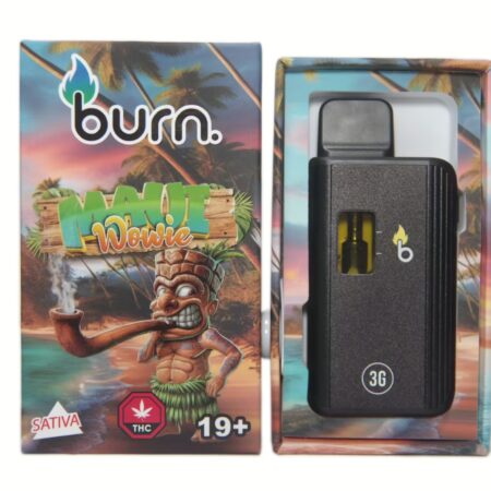 Burn Disposable Pen 3g – Maui Wowie