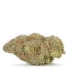 Bubble Gum Gelato