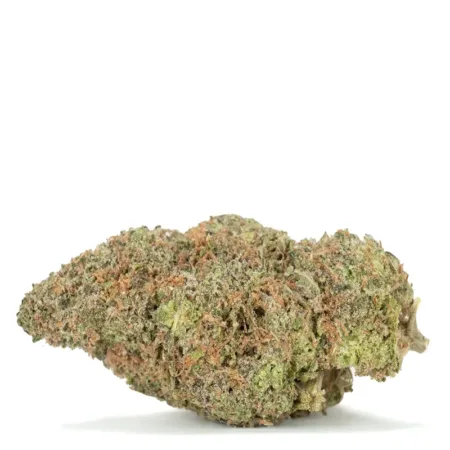 Bubble Gum Gelato