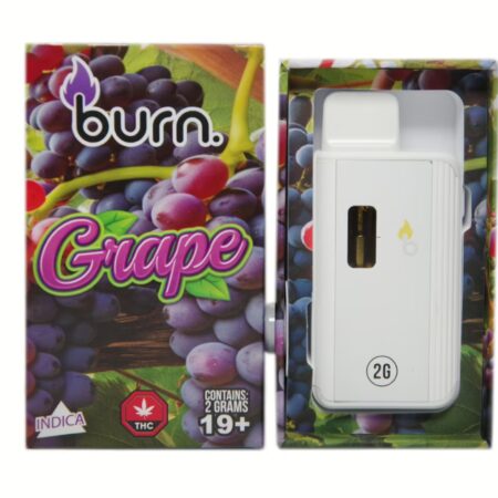 Burn Disposable Pen 2g – Grape