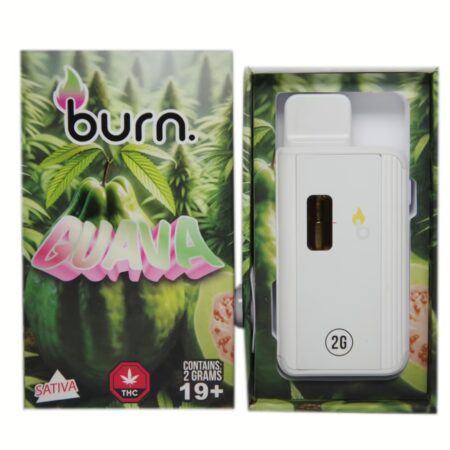 Burn Disposable Pen 2g – Guava