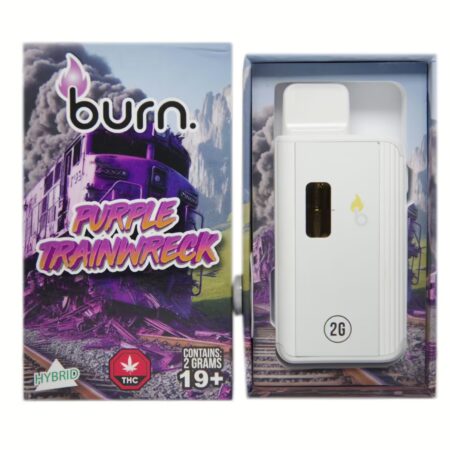 Burn Disposable Pen 2g – Purple Trainwreck