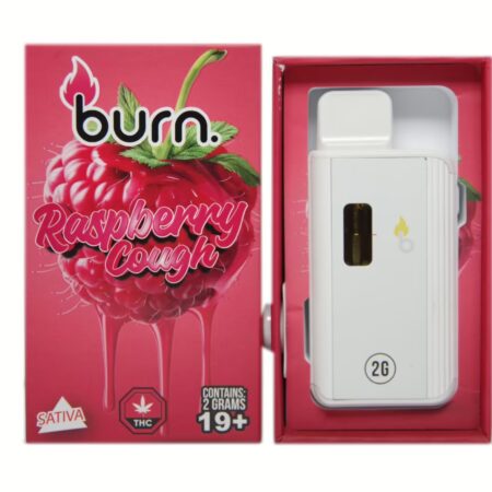 Burn Disposable Pen 2g – Raspberry Cough