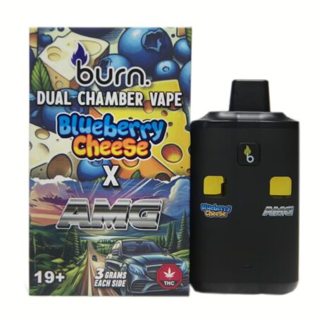 Burn Dual Chamber Pen 6g – Blueberry Cheese (I) + AMG (S)