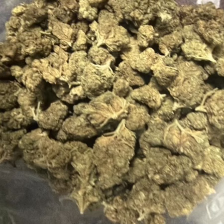 A close-up view of White Bubblegum cannabis buds, showcasing their dense and aromatic features, ideal for connoisseurs.