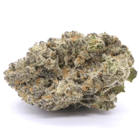 Grape Cream Cake